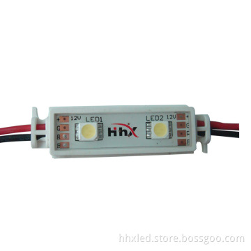 2 SMD LED module (PVC housing)